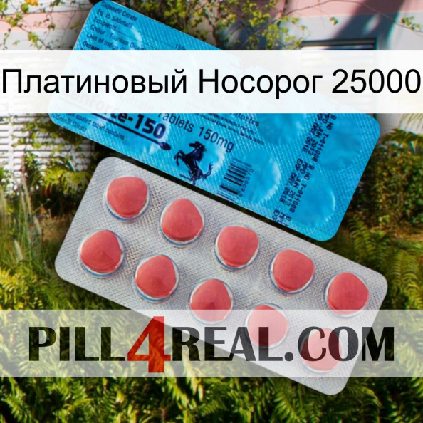 Платиновый Носорог 25000 new14.jpg